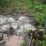 Shot blasts in a wetland connected to a tributary of the Richibucto River