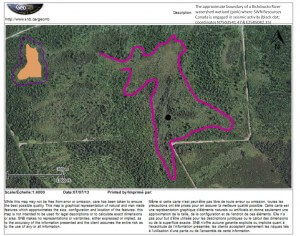 Wetlandboundary