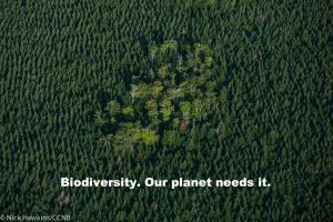 biodiversity 2