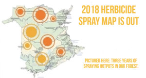 EcoNews — Herbicide Spraying Near Your Favourite NB Lake, New Forest ...