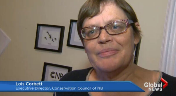 CCNB’s Lois Corbett responds to release of forest documents [Video] - CCNB