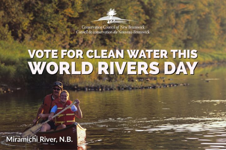 Vote For Strong Water Protection On This World Rivers Day - CCNB